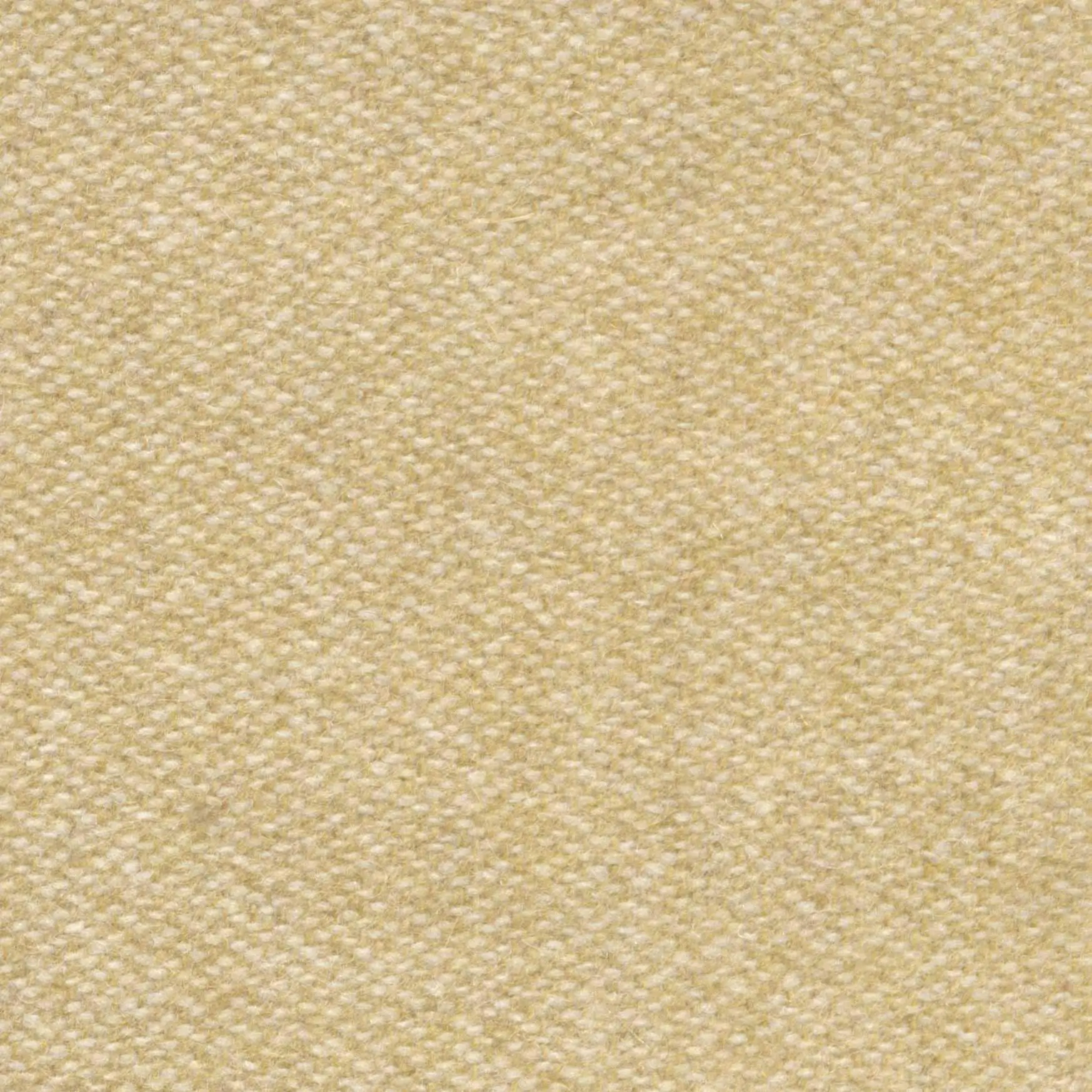 Bamboo 507 | Savoy FR