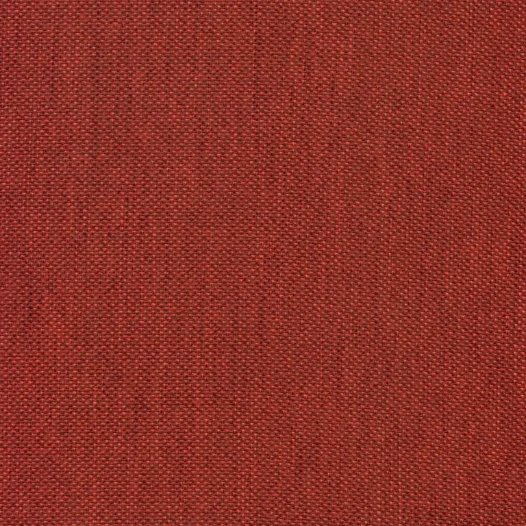 Raspberry 33