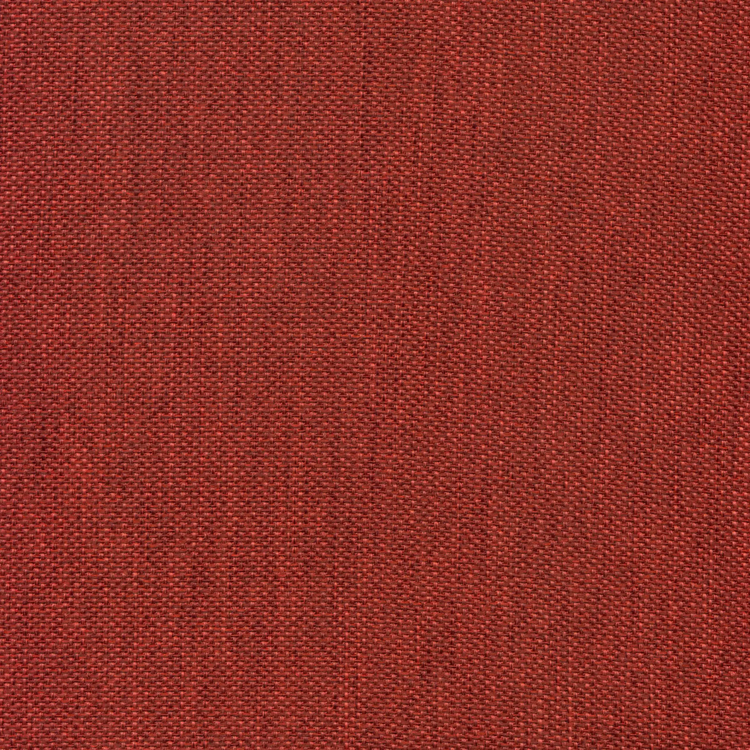 Raspberry 33 | Martin