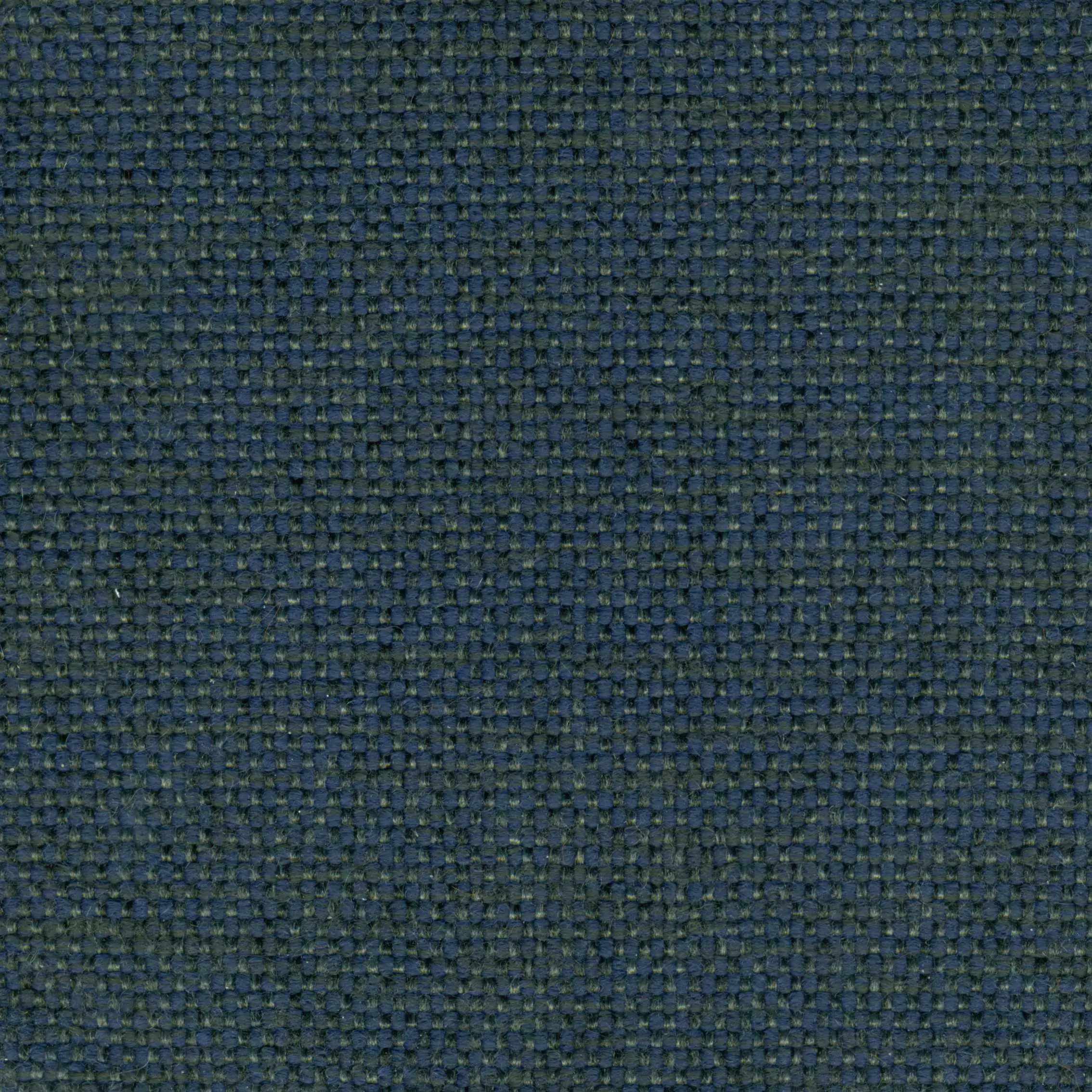 834235 | Mango