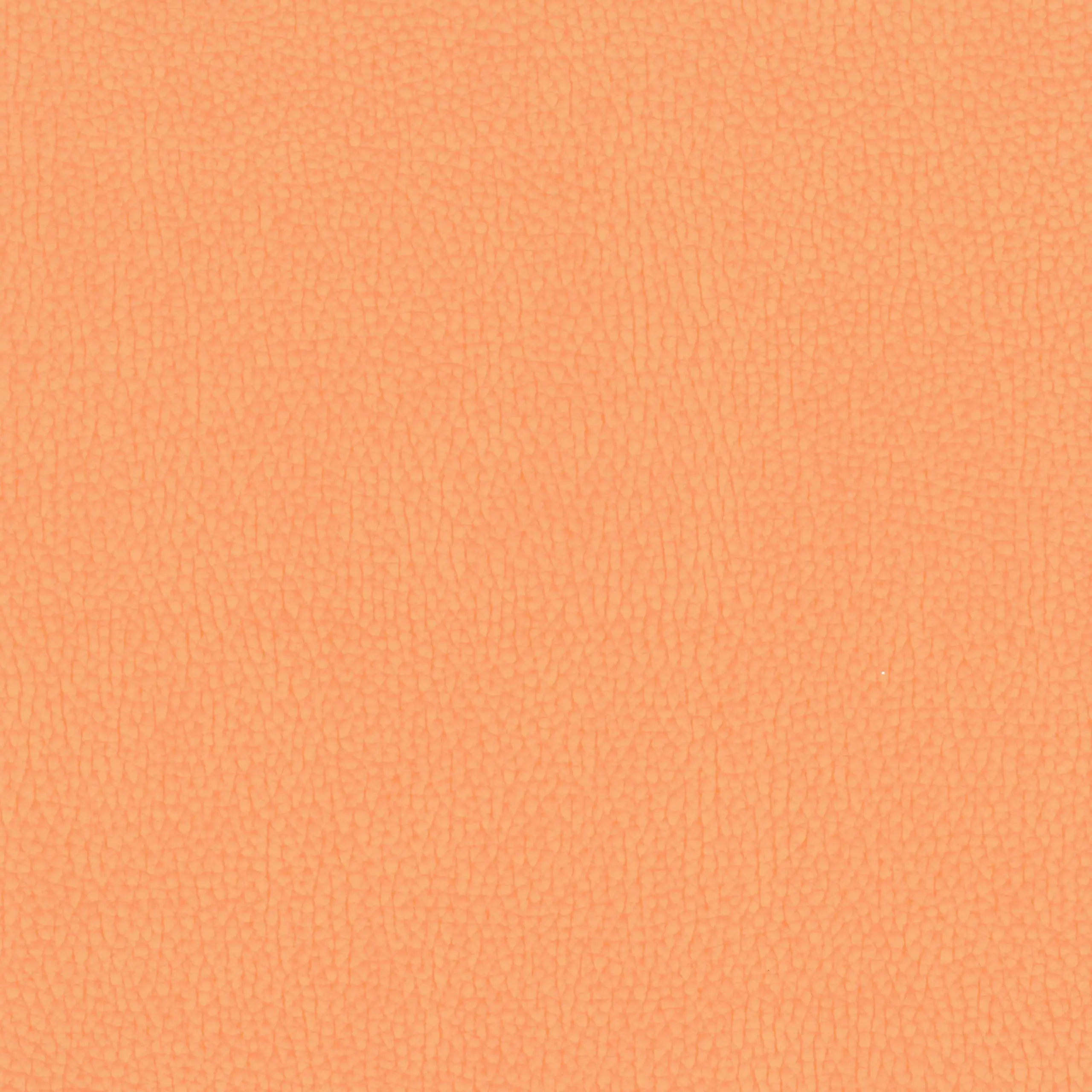 Tangerine 011 | Nestor