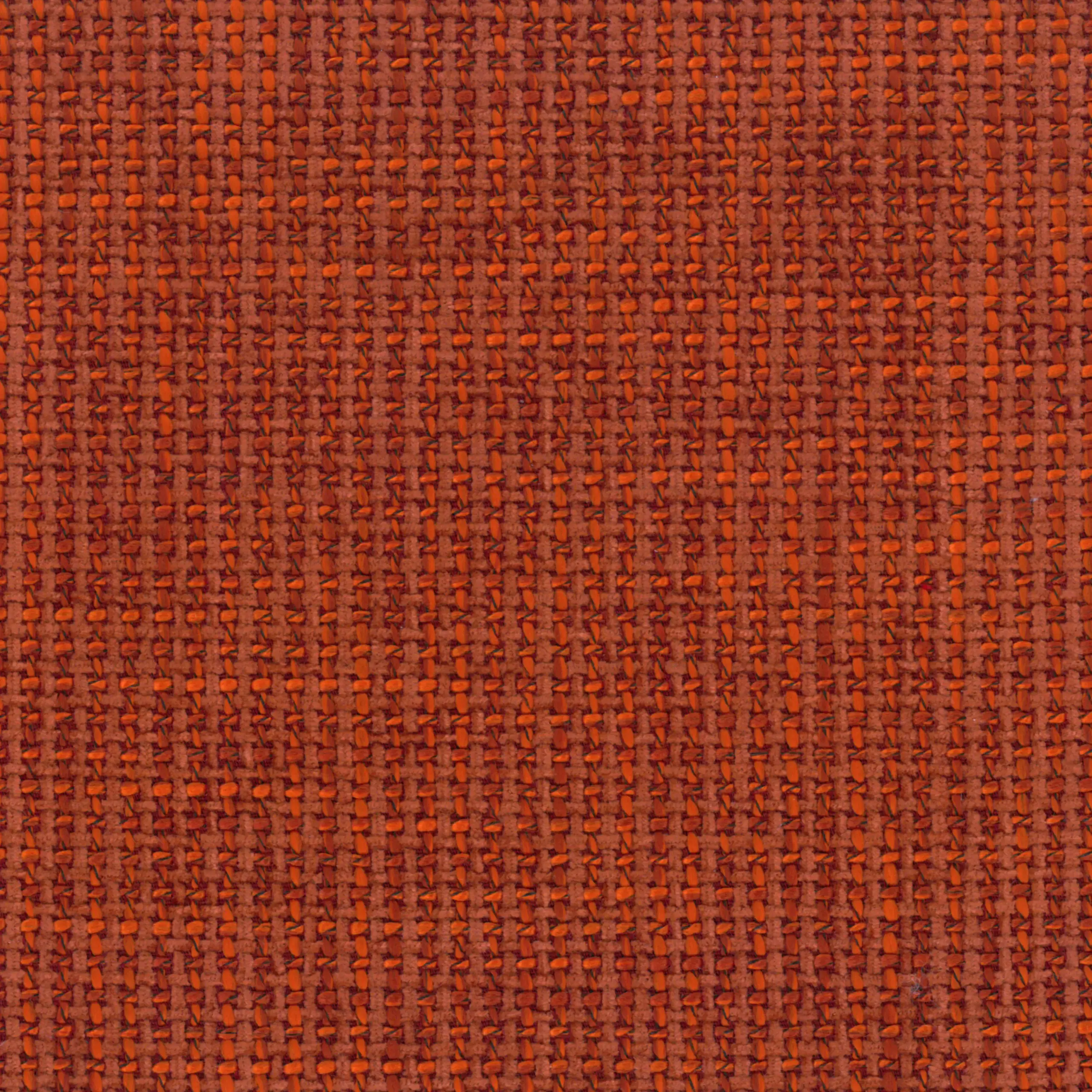 Tangerine 807 | Noor