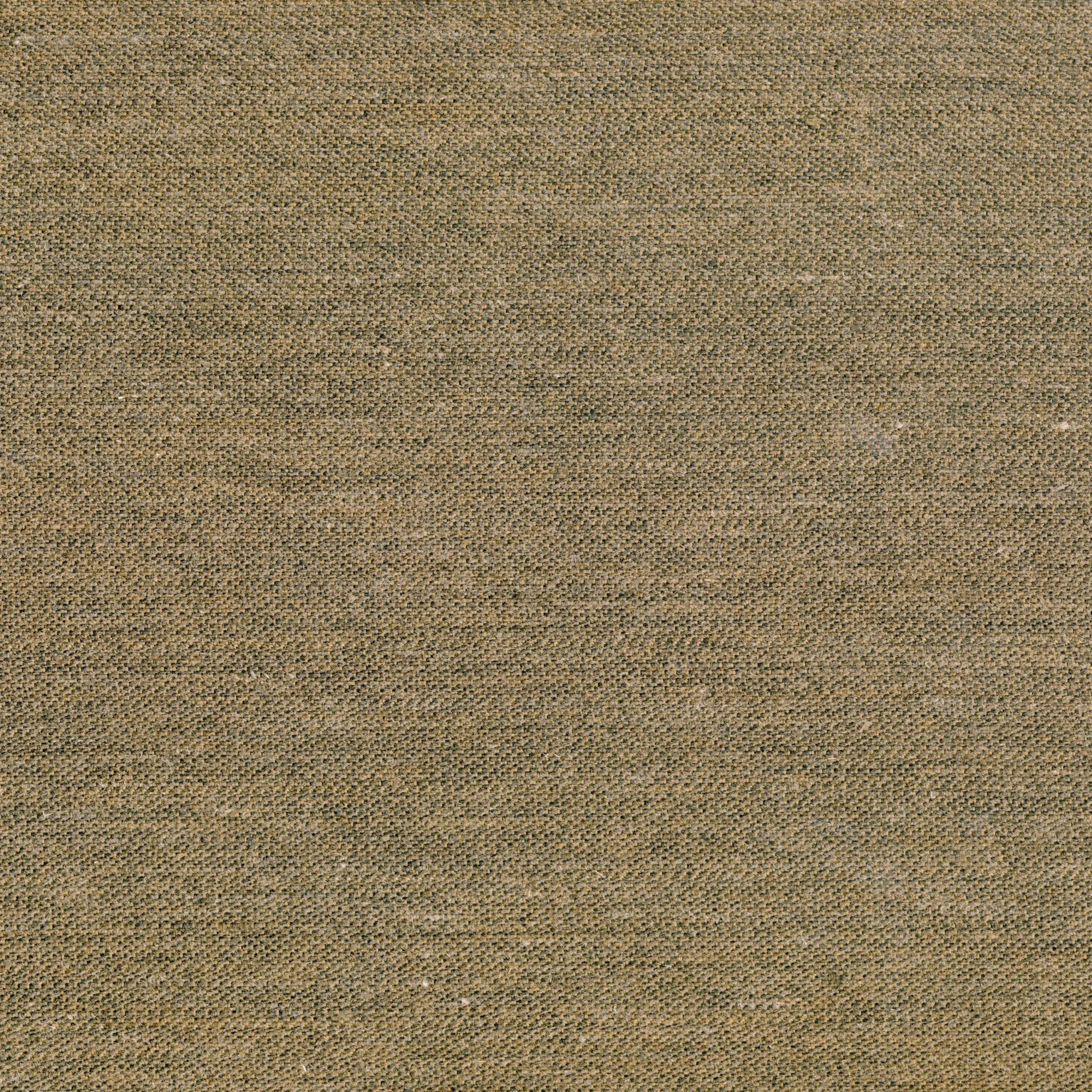 Brown 146 | Lazar