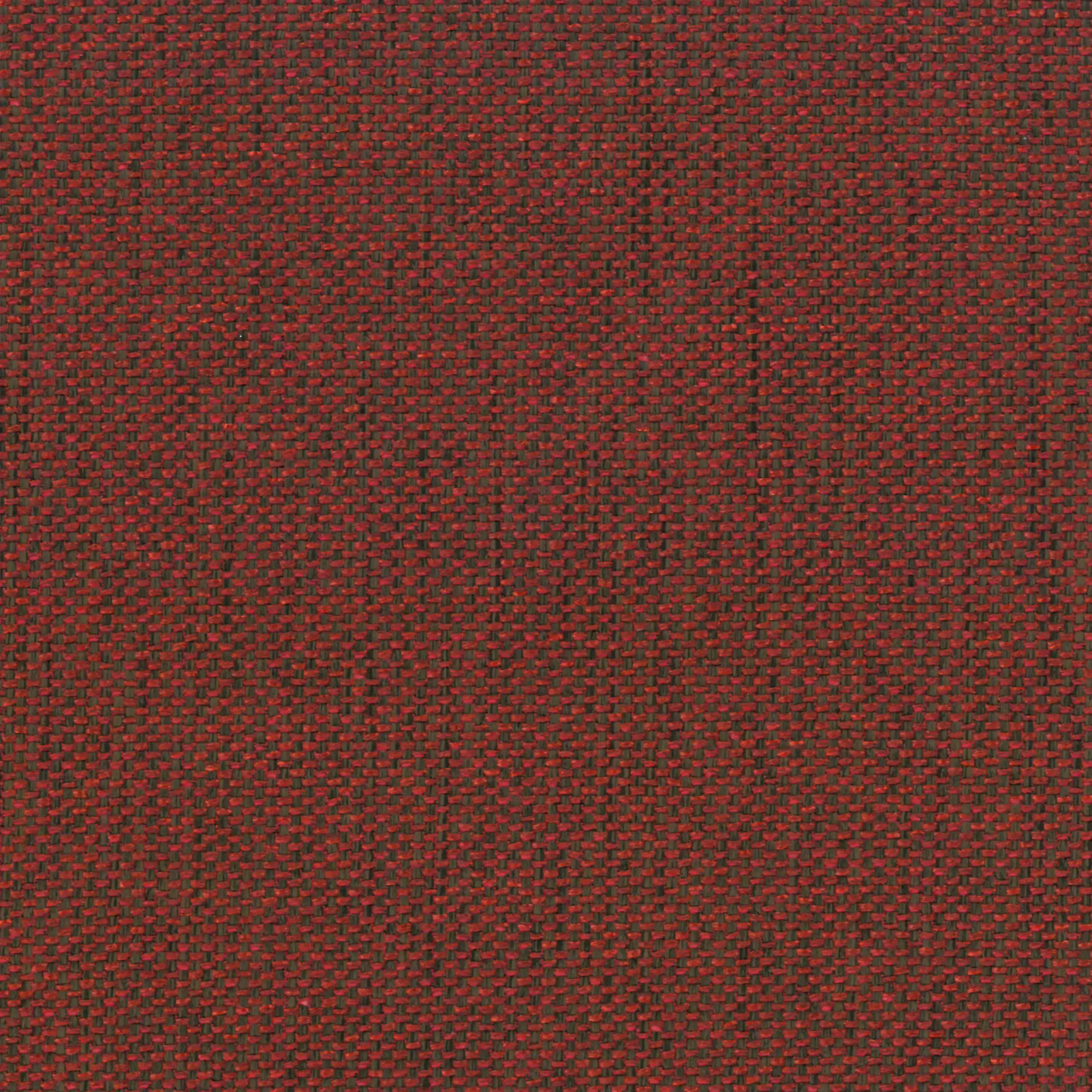 Ruby 73 | Manfred