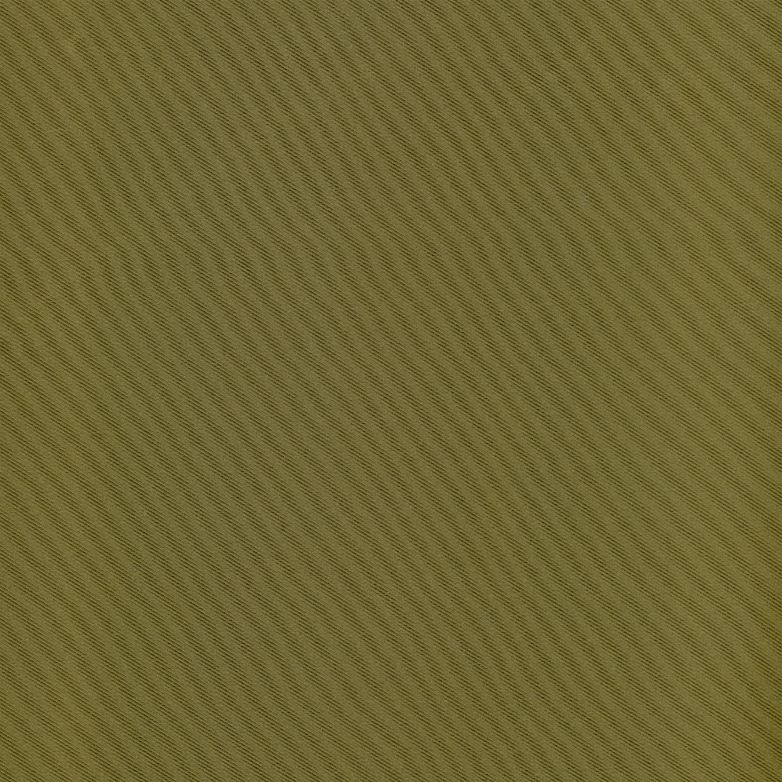 Olive 23 | Luna