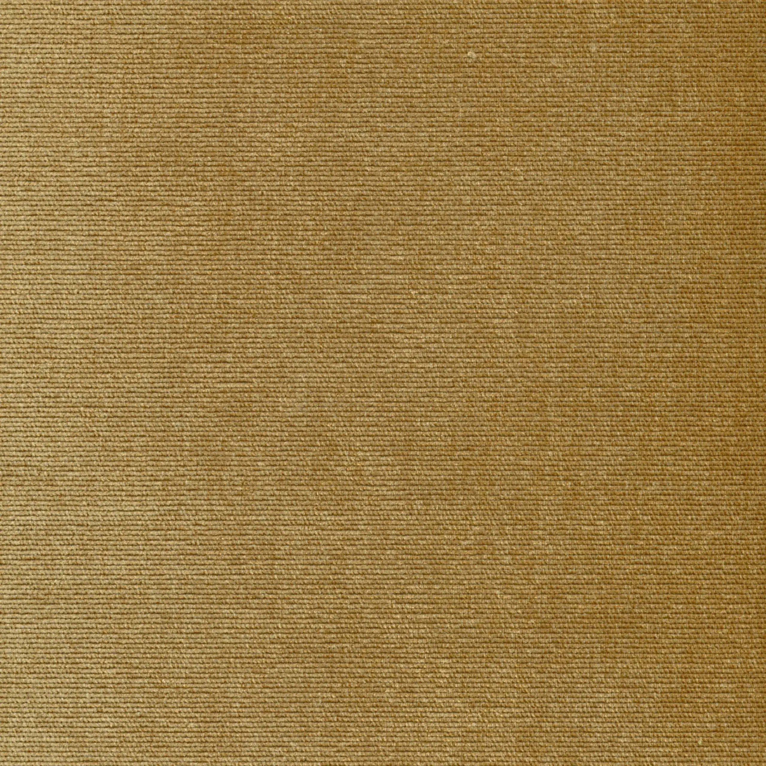 Bronze 07 | Verner
