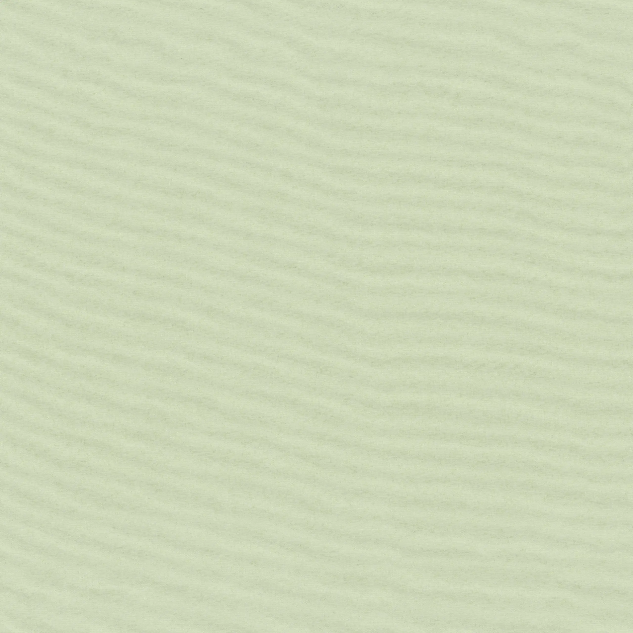 Mineral Gray 04 | Sage