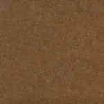 Nut 486 | Savoy FR