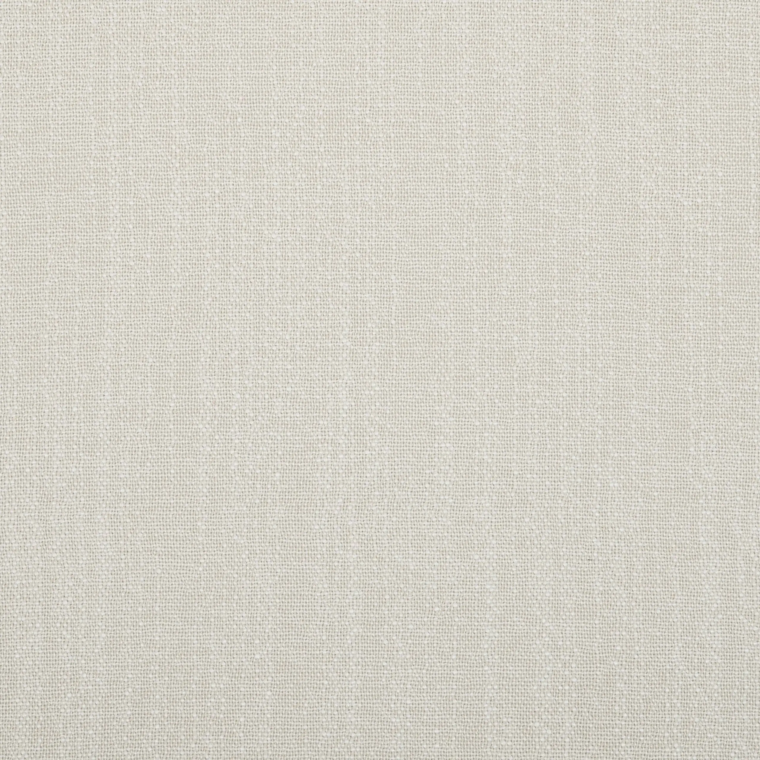 Birch 76 | Savona