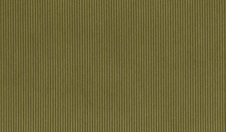 Army 21