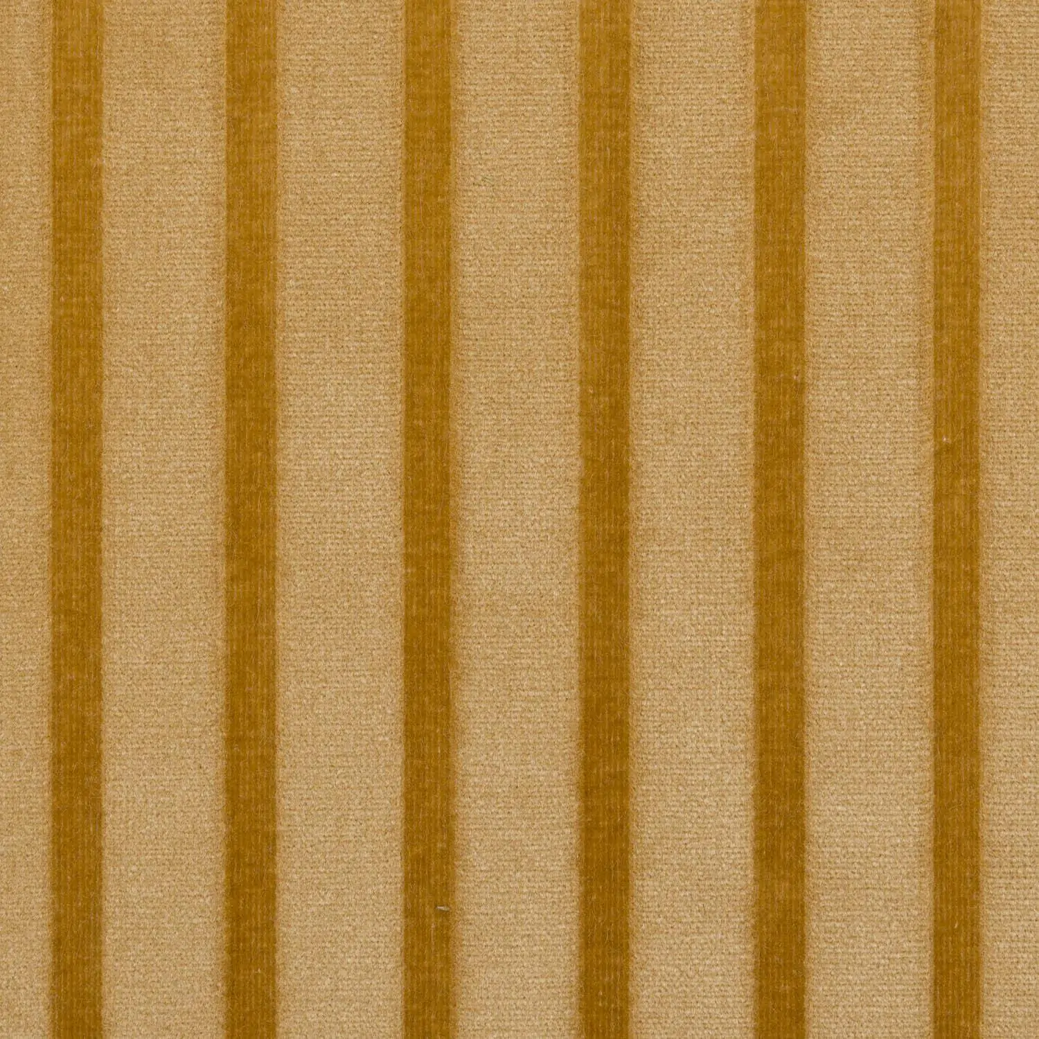 Corn 02 | Thales