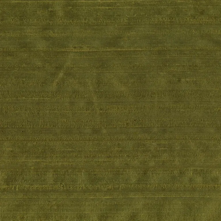 Olive 120