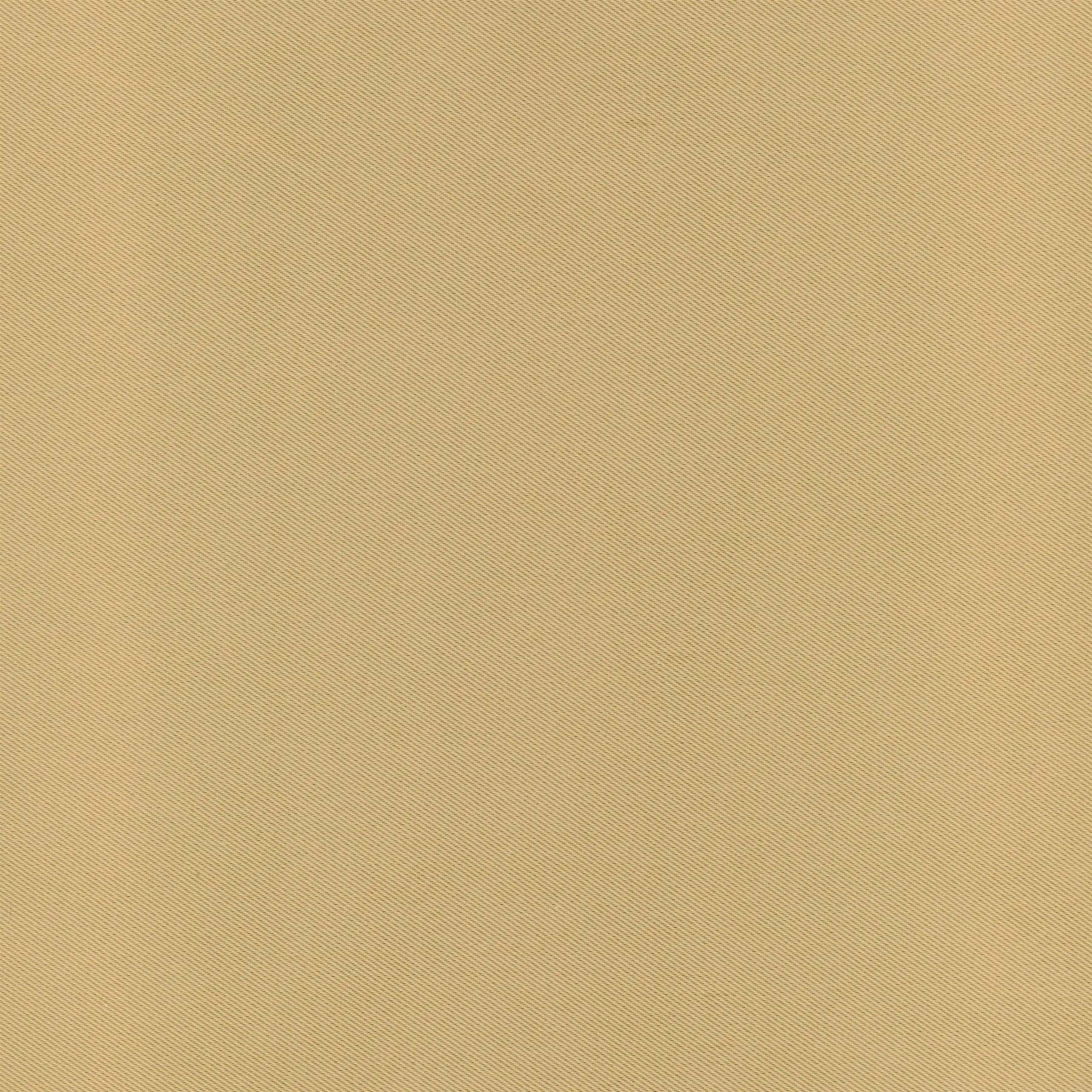 Beige 07 | Luna