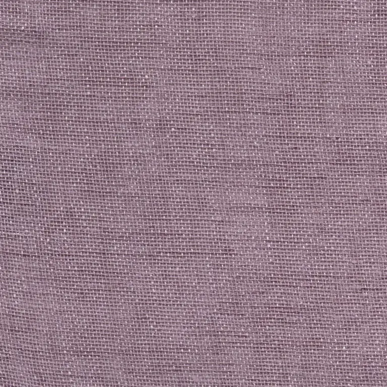 Iris 221