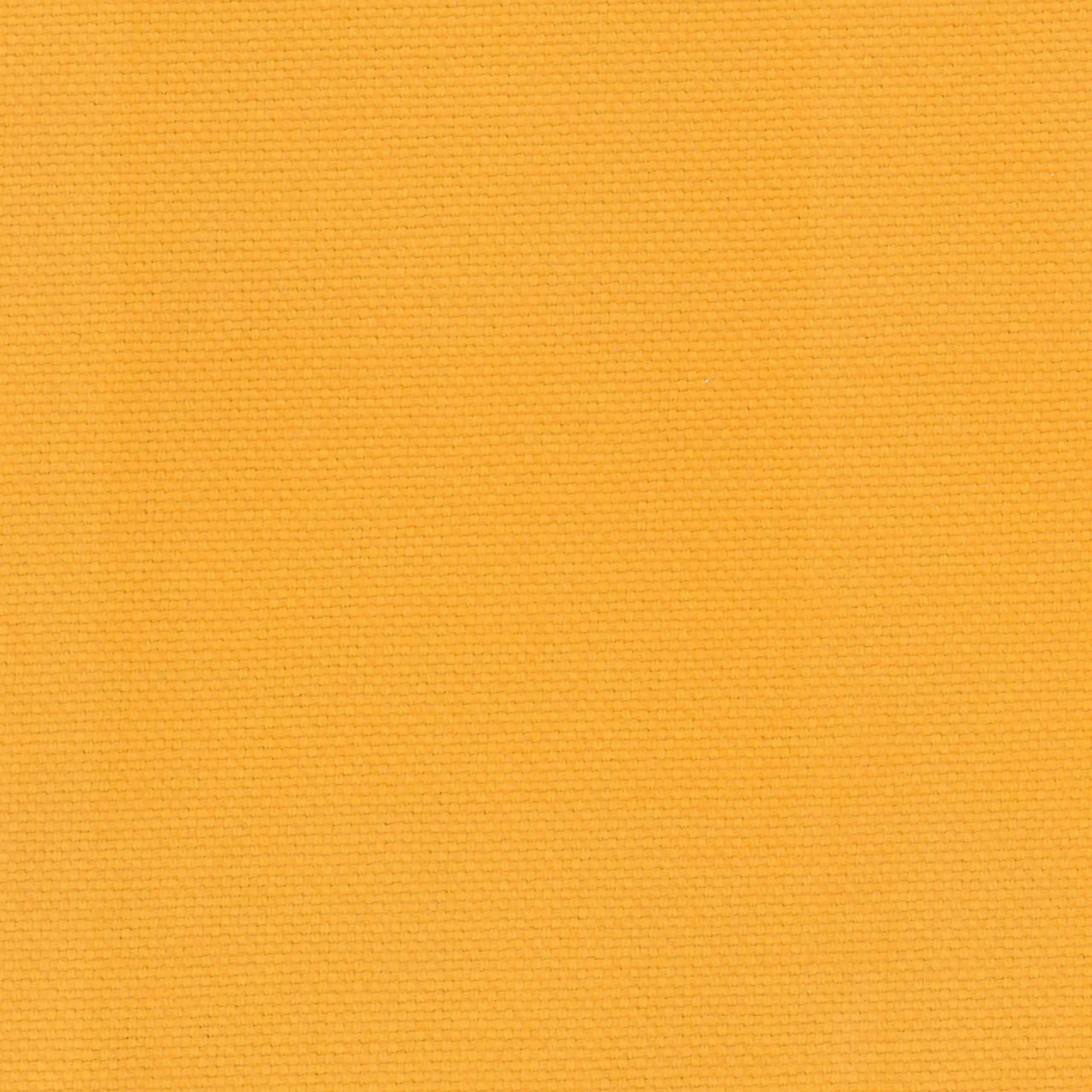 Saffron 09 | Ringo