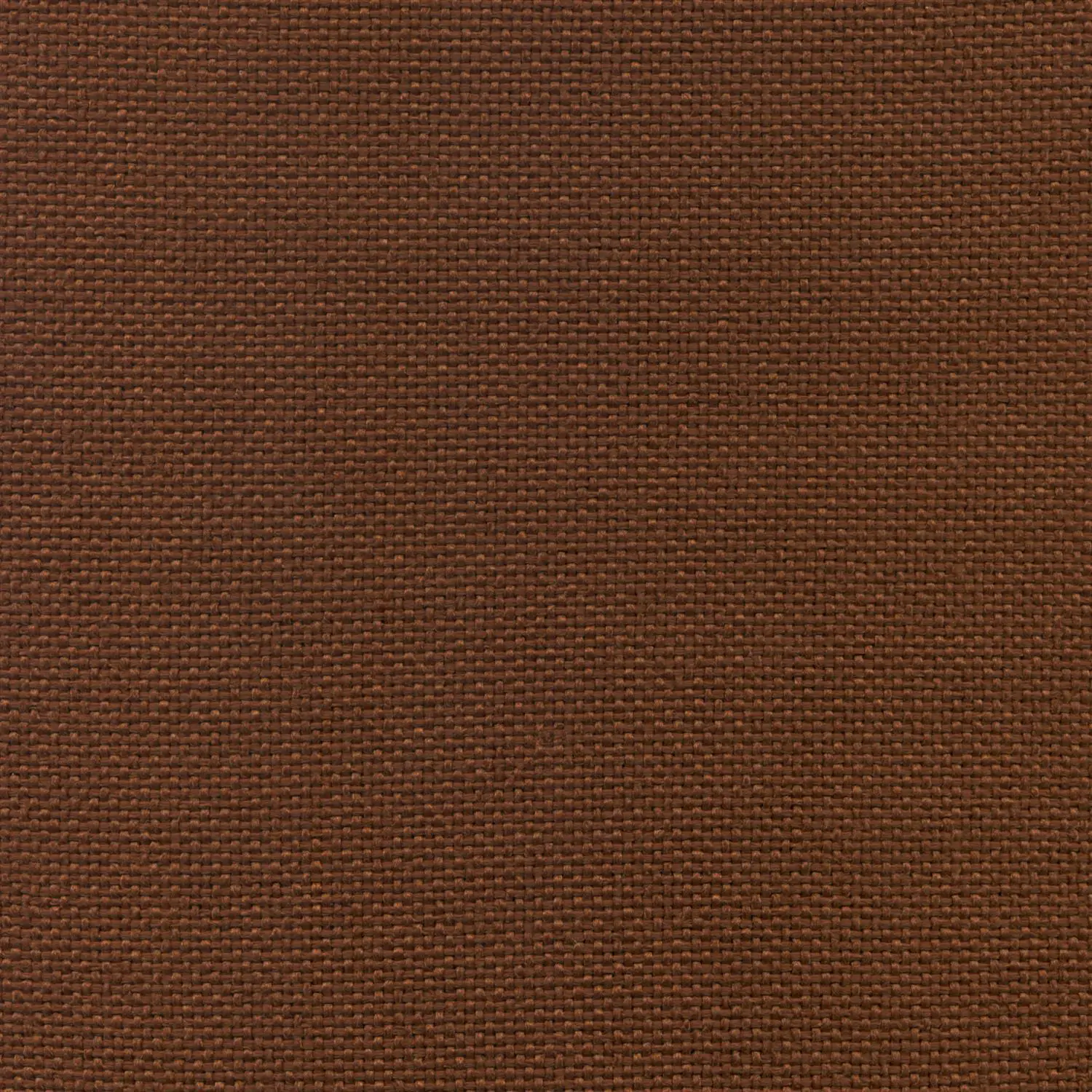 Pecan 54 | Trenza