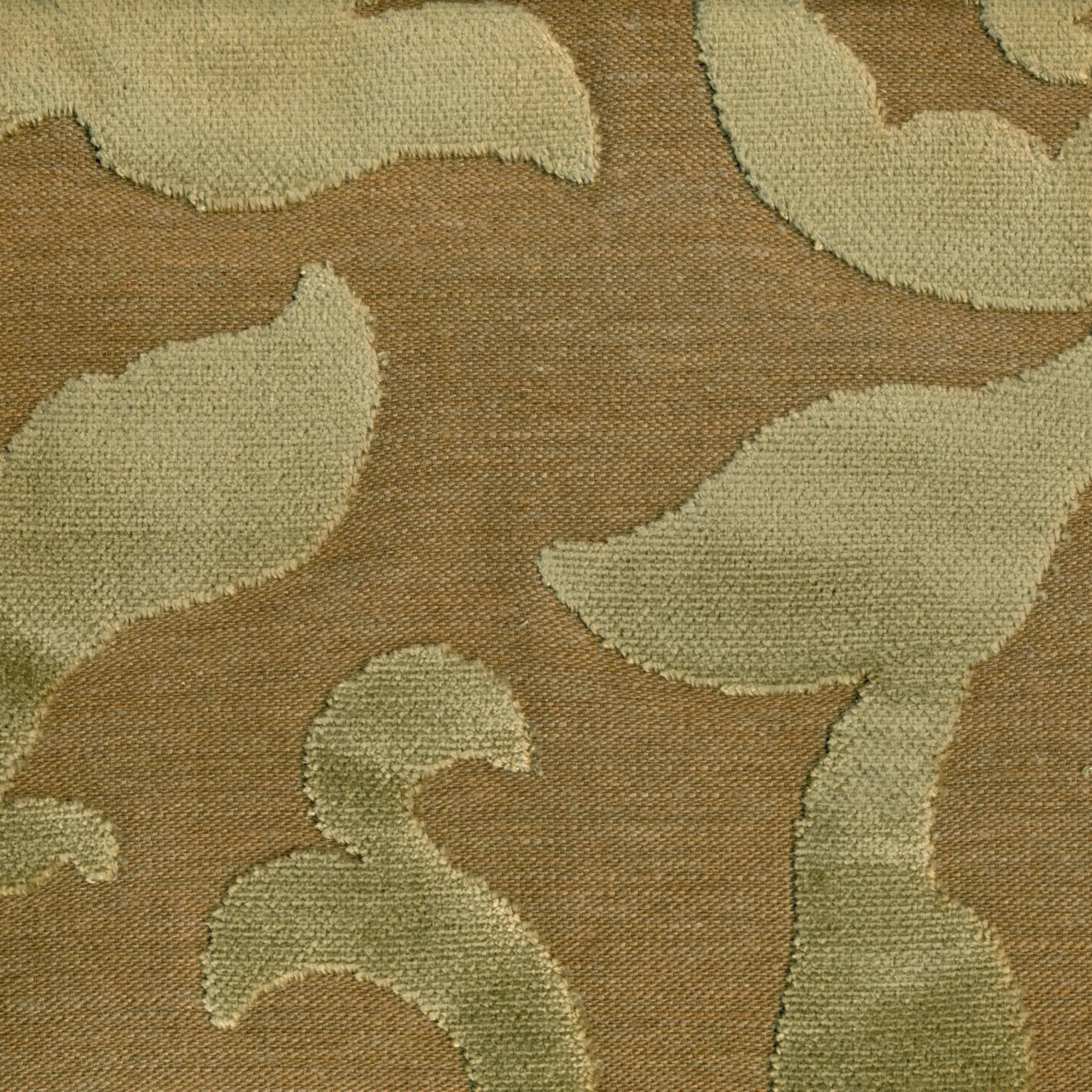 Olive 53 | Ladonna