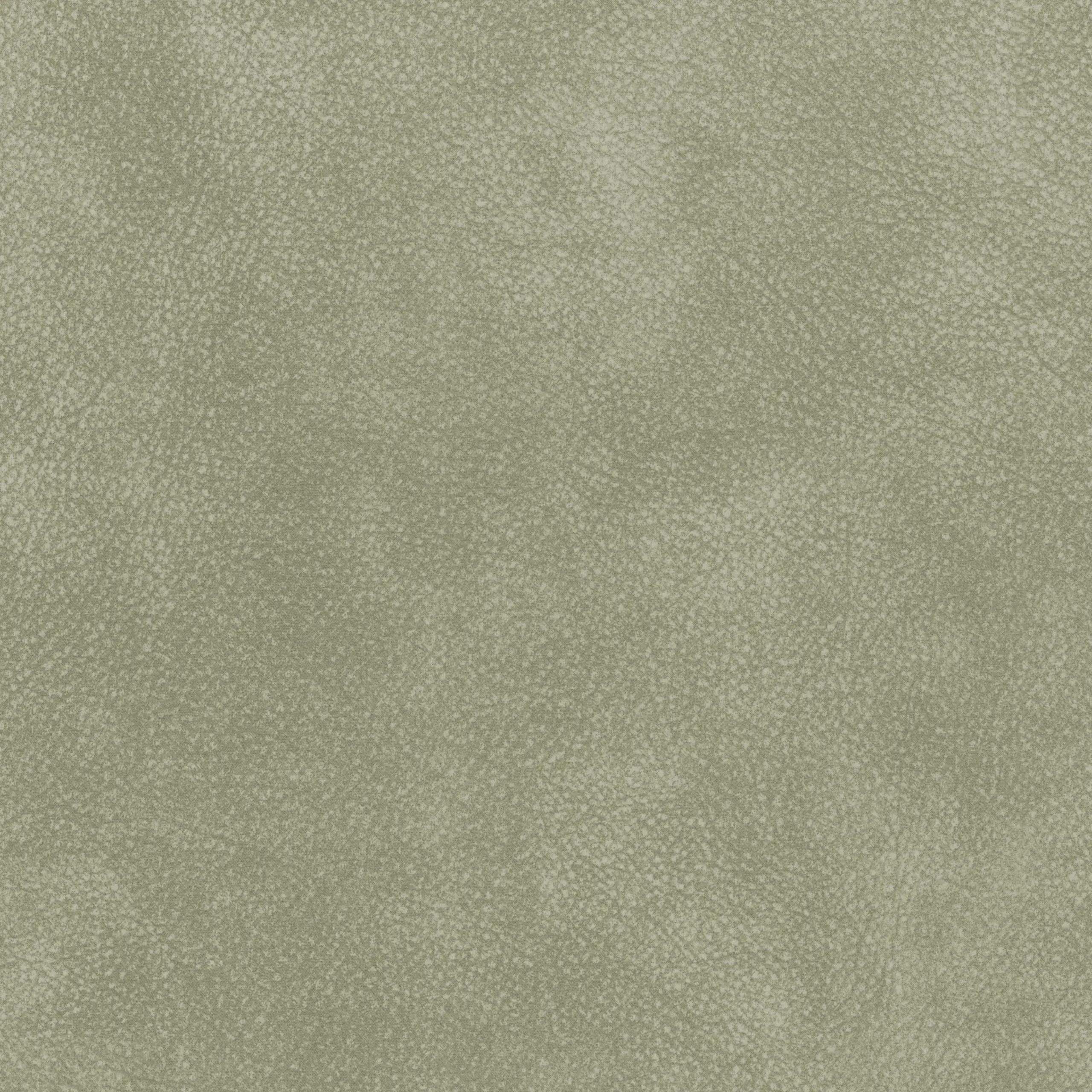 Dove 49 | Tremiti