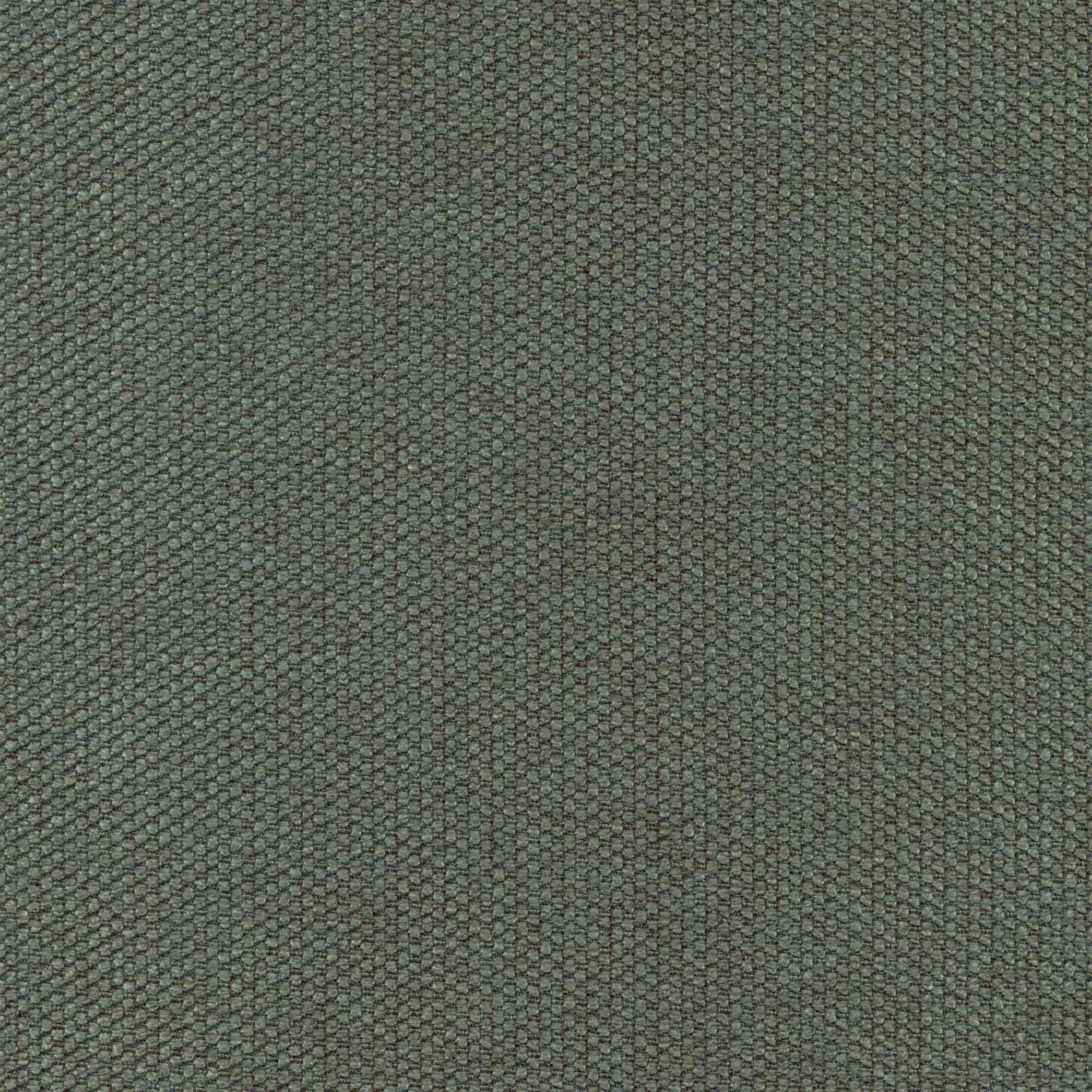 Pacific 13 | Onyx