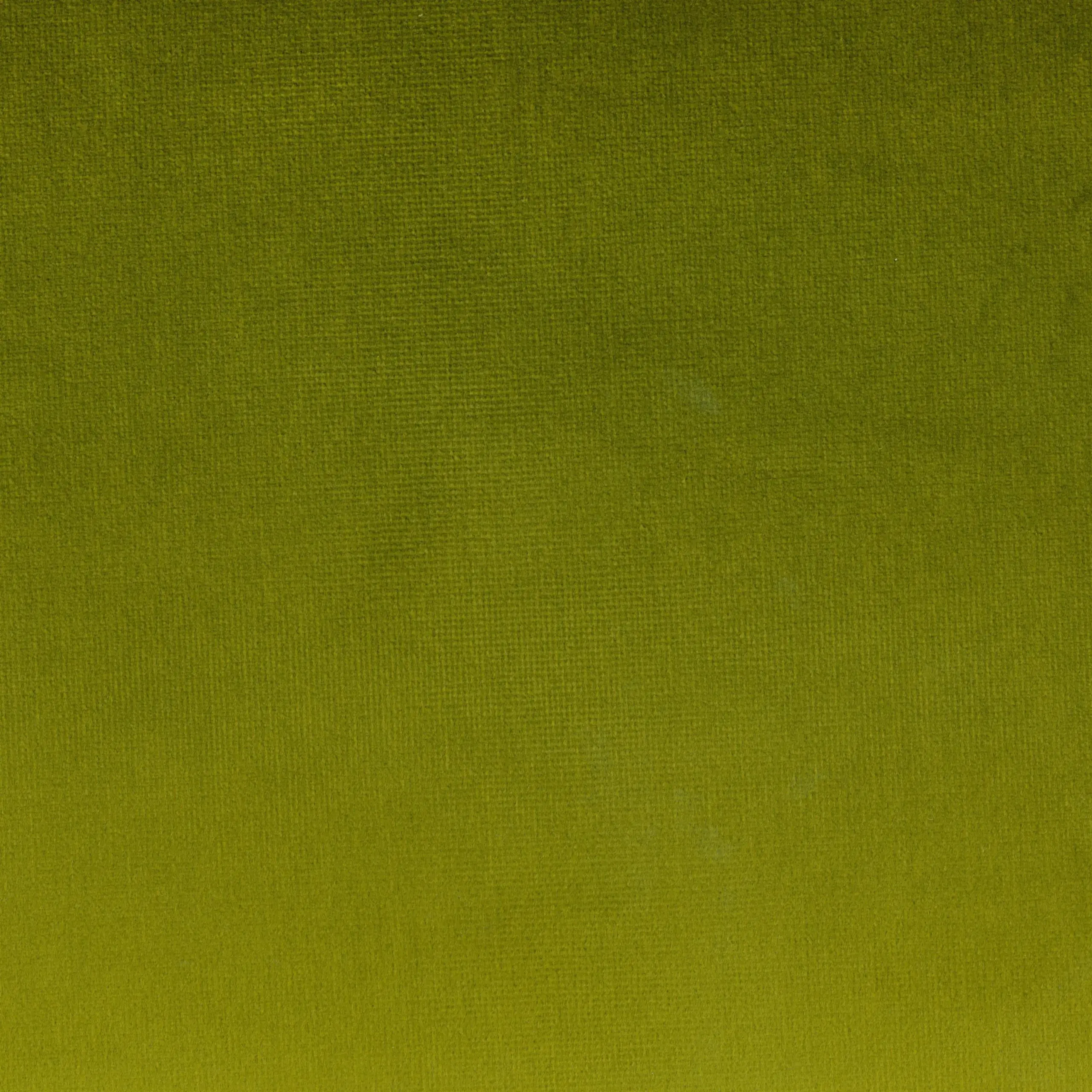 Green 70 | Yaron