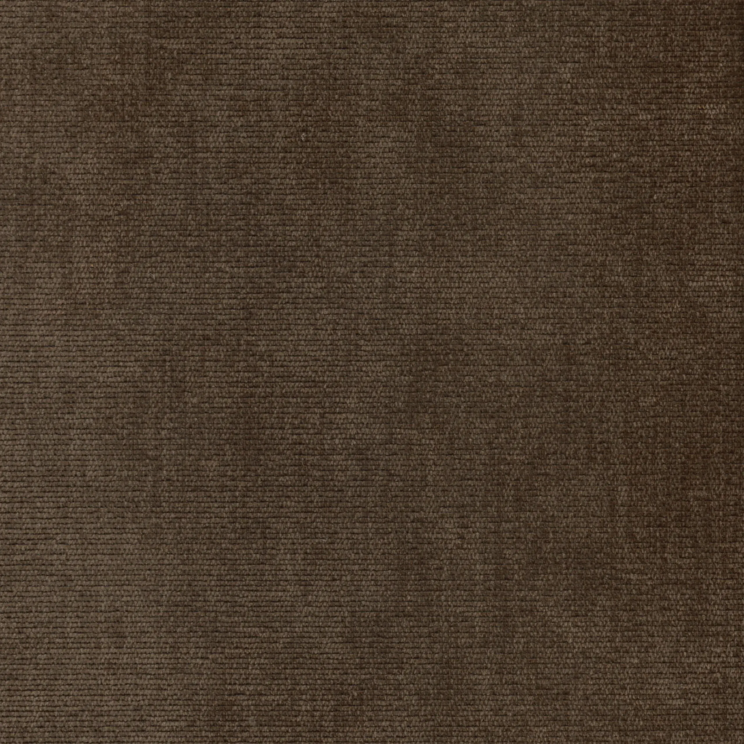 Chestnut 14 | Verner
