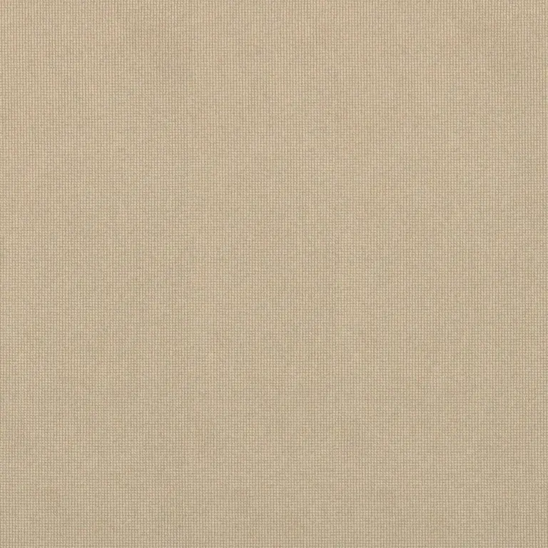 Birch 079