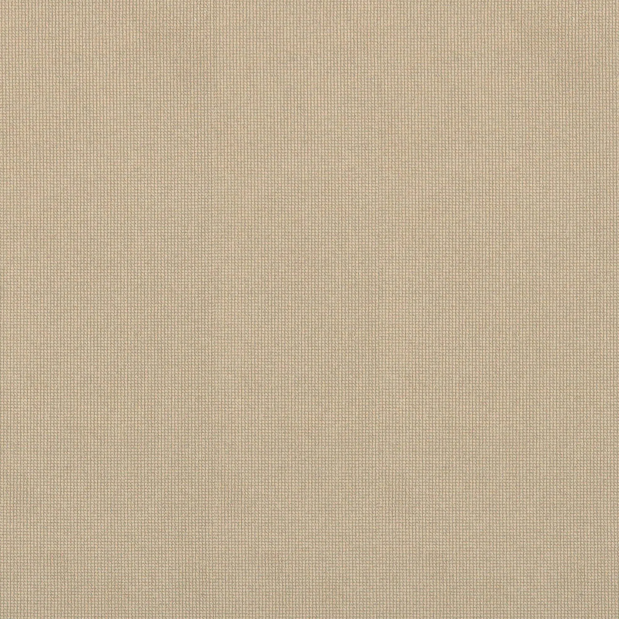 Birch 079 | Paragon