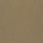 Almond 10 | Roger