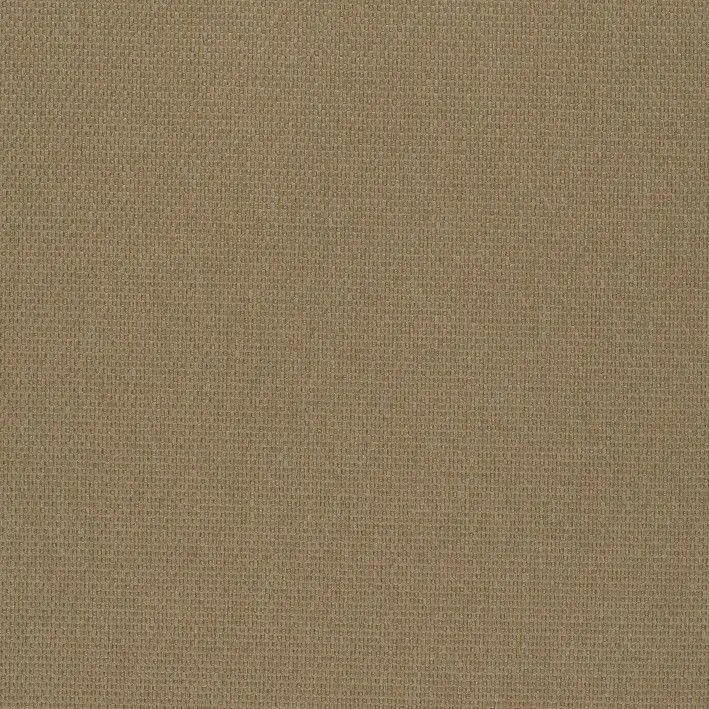 Almond 10 | Roger