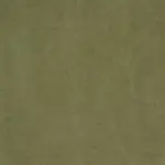 Olive 42 | Rainer