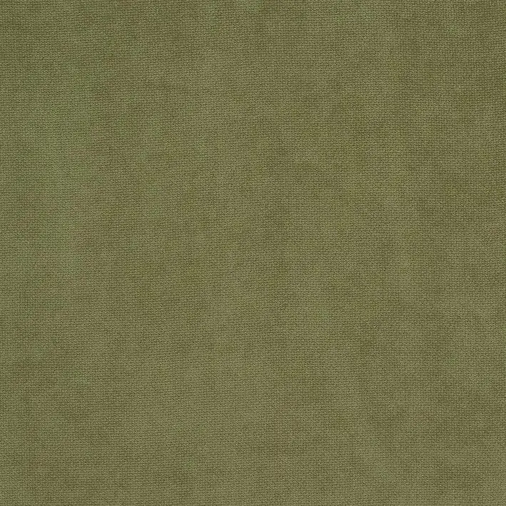 Olive 42 | Rainer