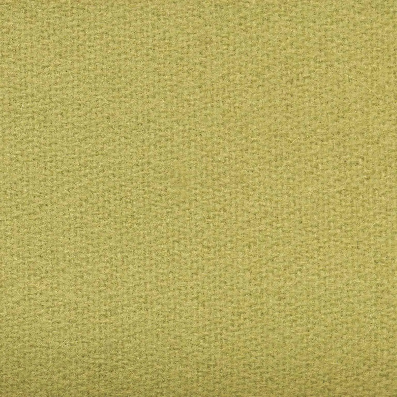 Grass H484 | Savoy FR