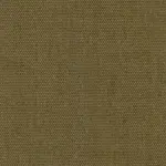 Iguana 502 | Petrus