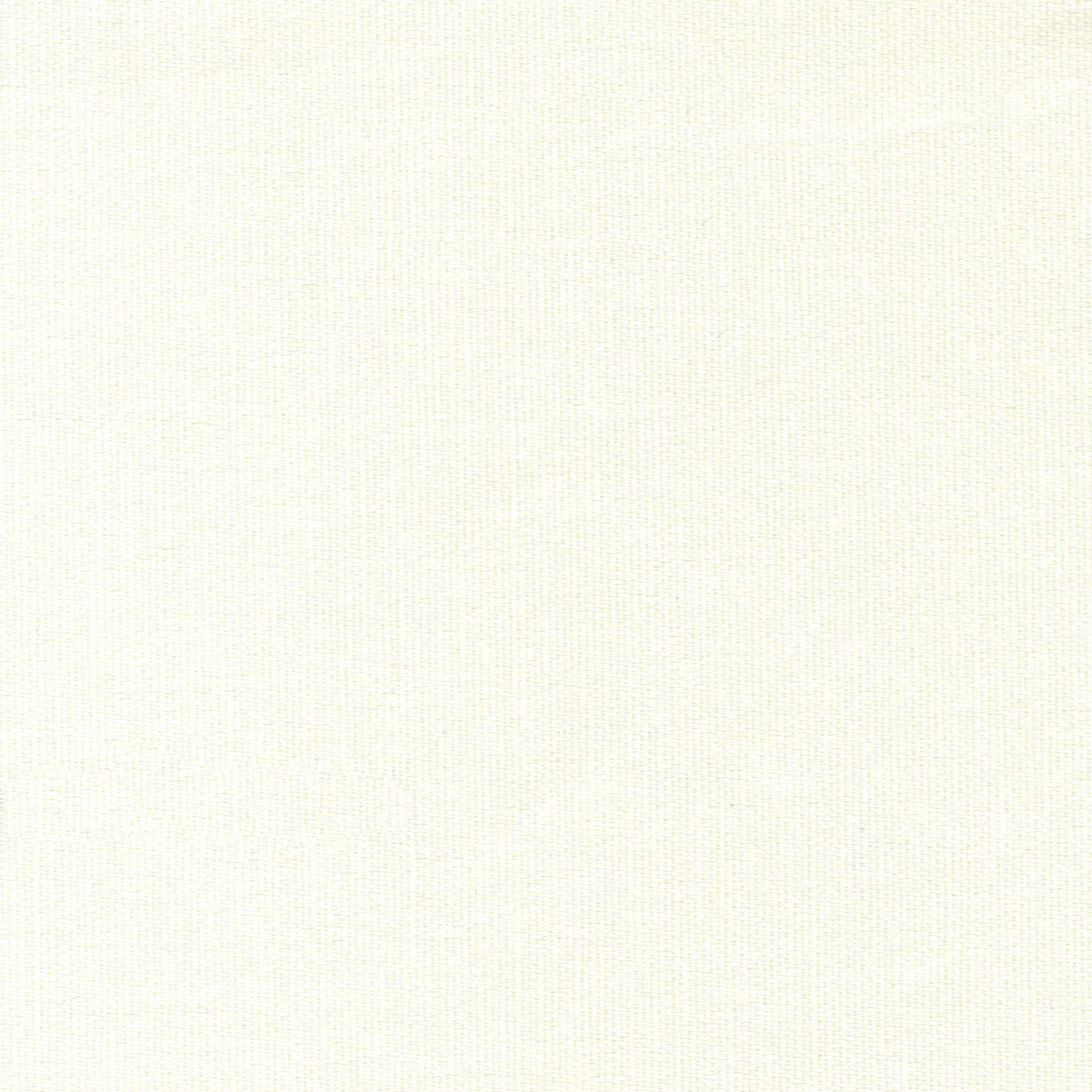 Ivory 8 | Melba