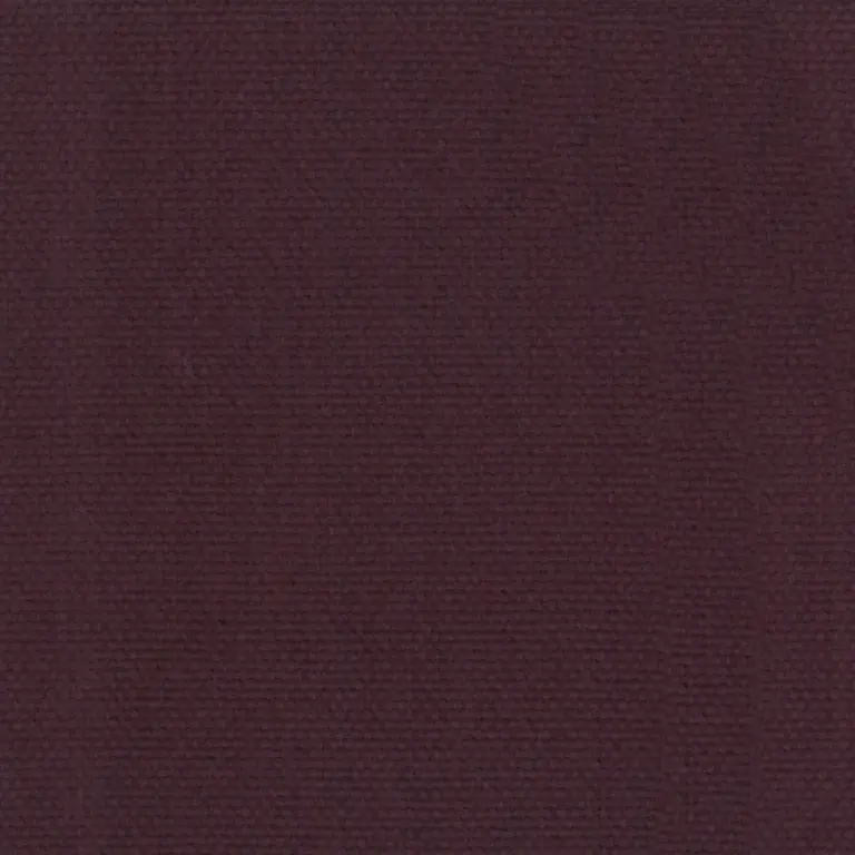 Eggplant 43