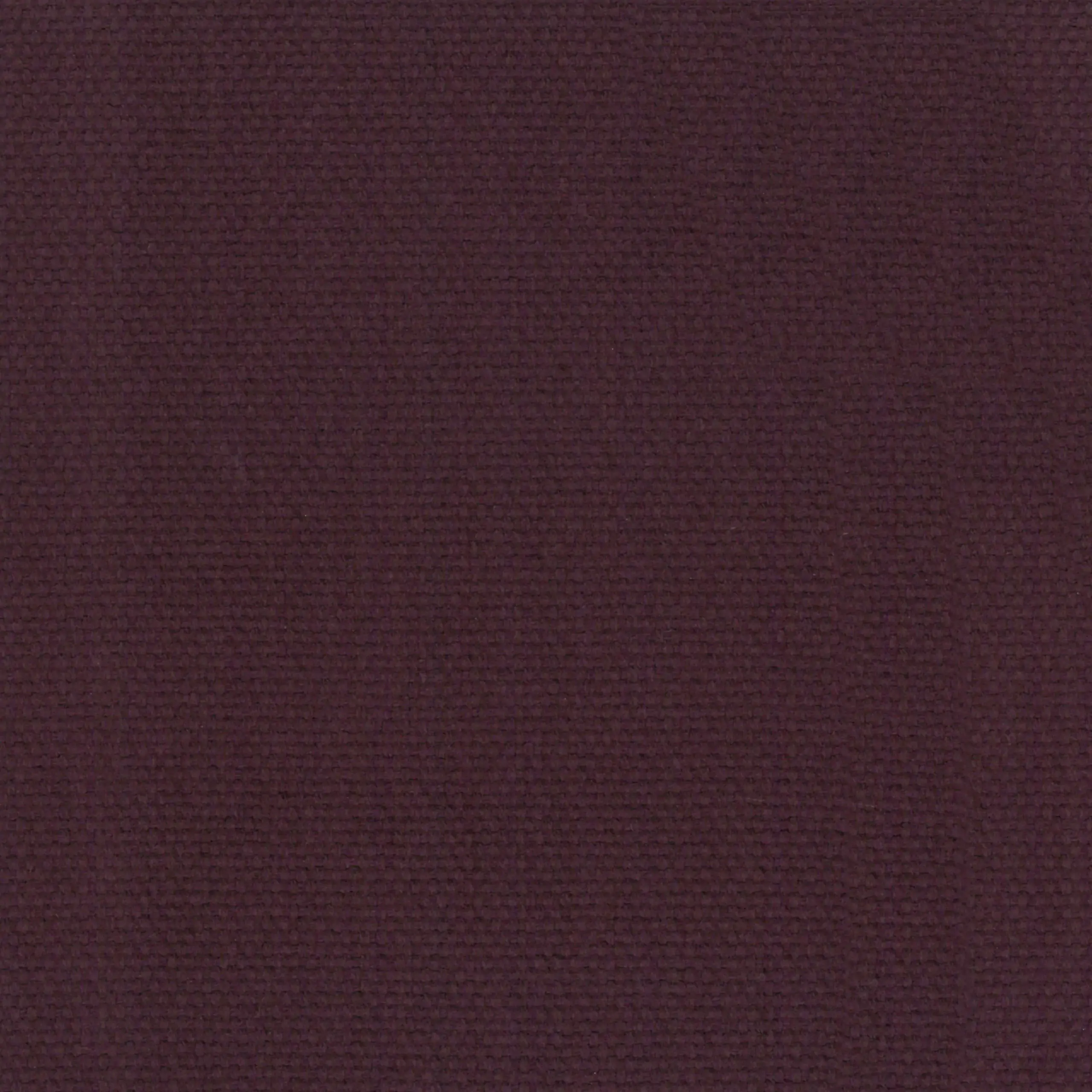 Eggplant 43 | Ringo