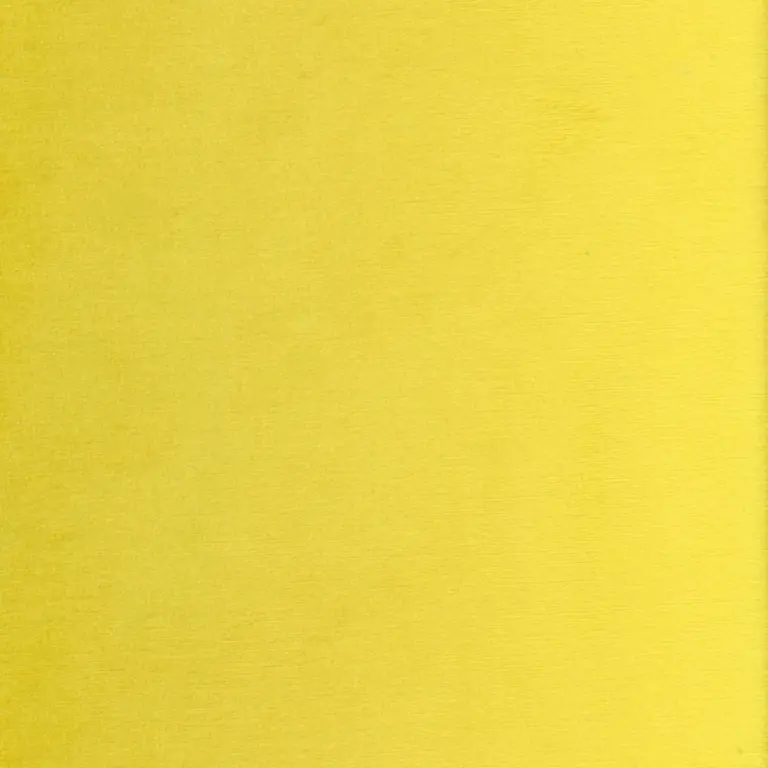 Lemon 41