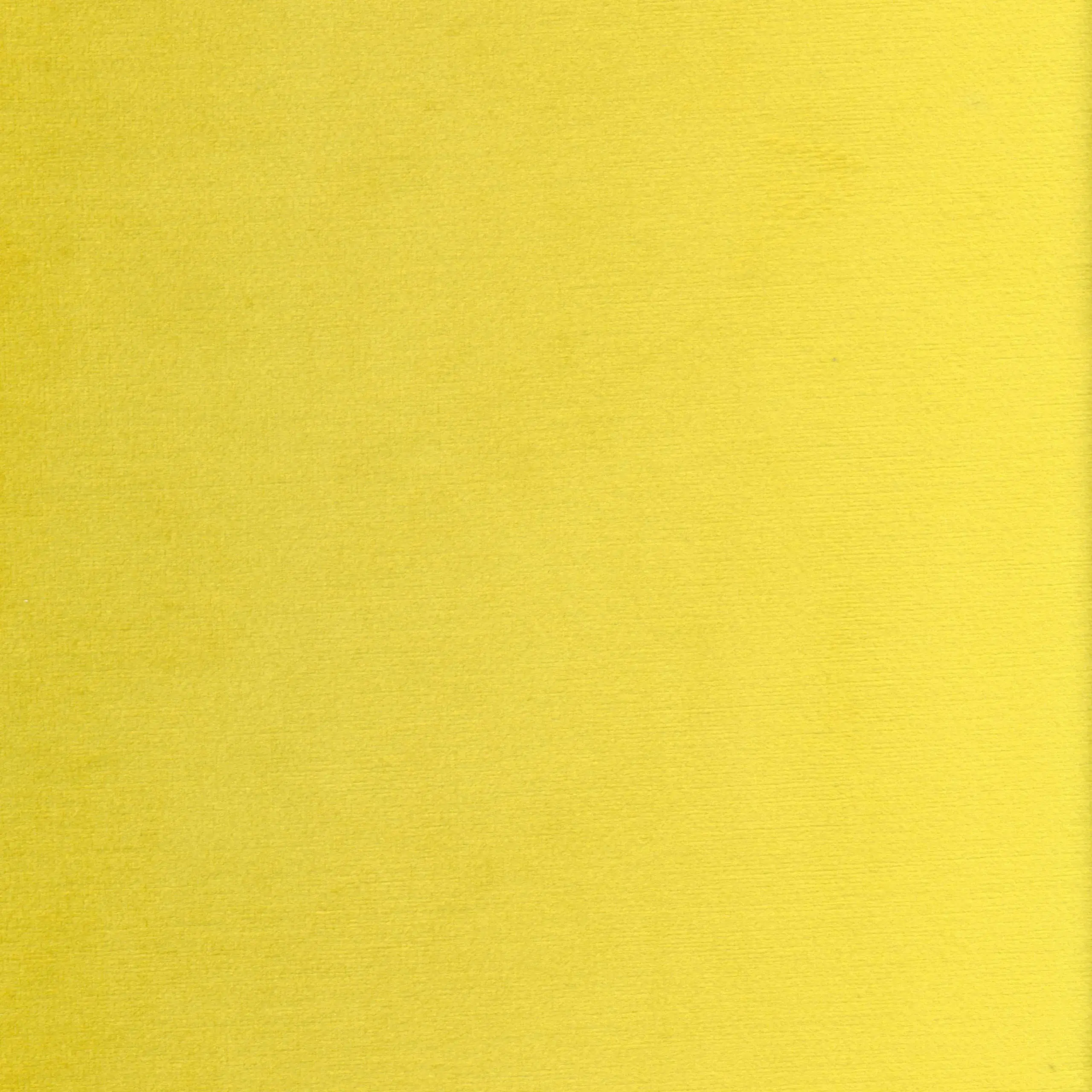 Lemon 41 | Jason