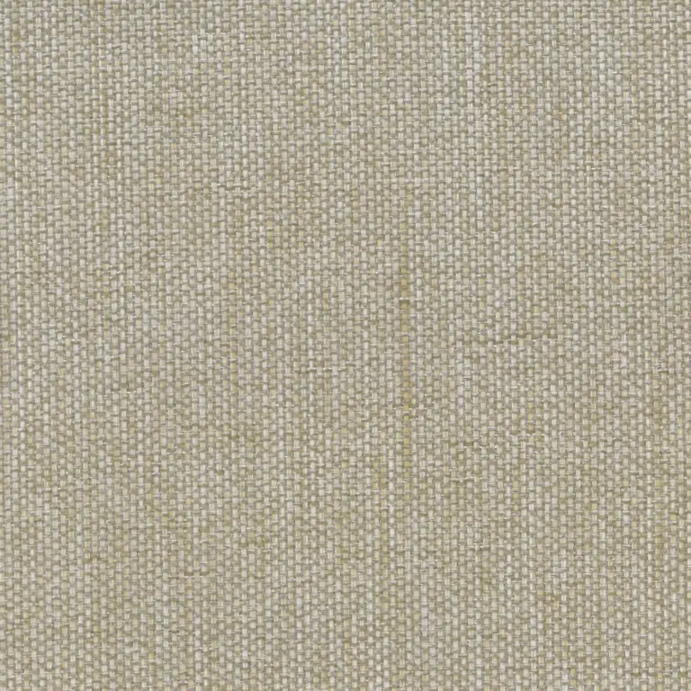 Corn 24