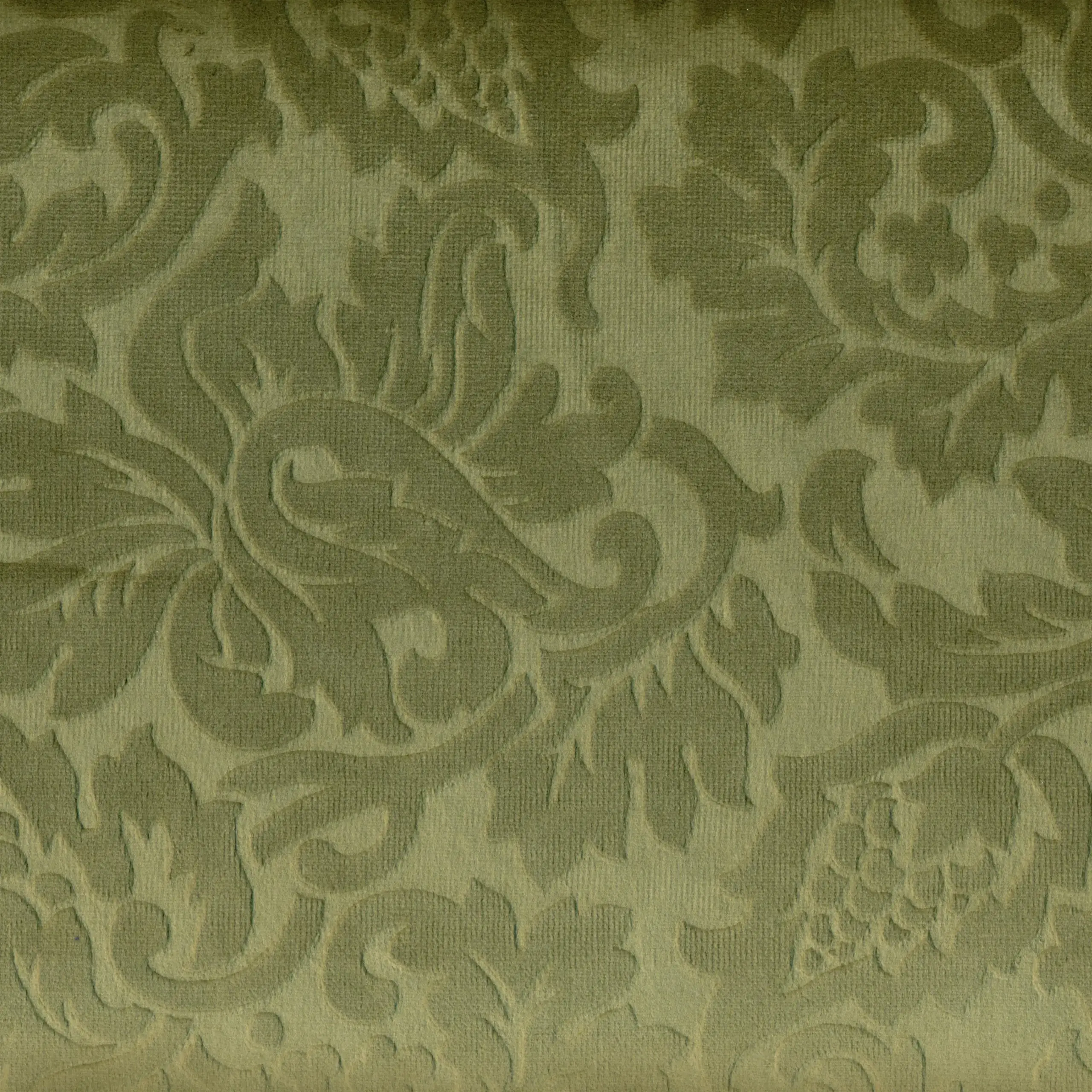 Olive 09 | Yvon