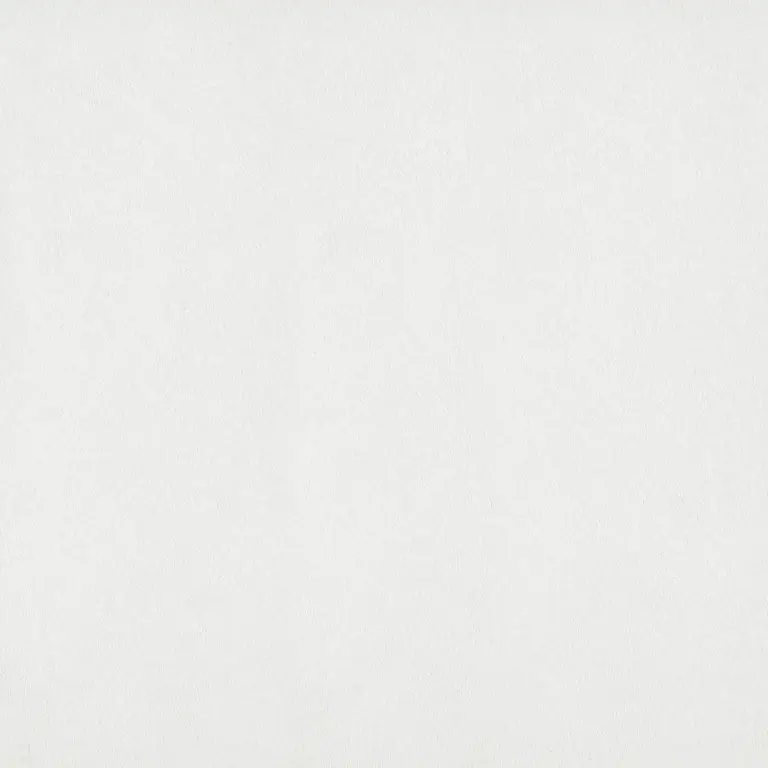 Parchment 107