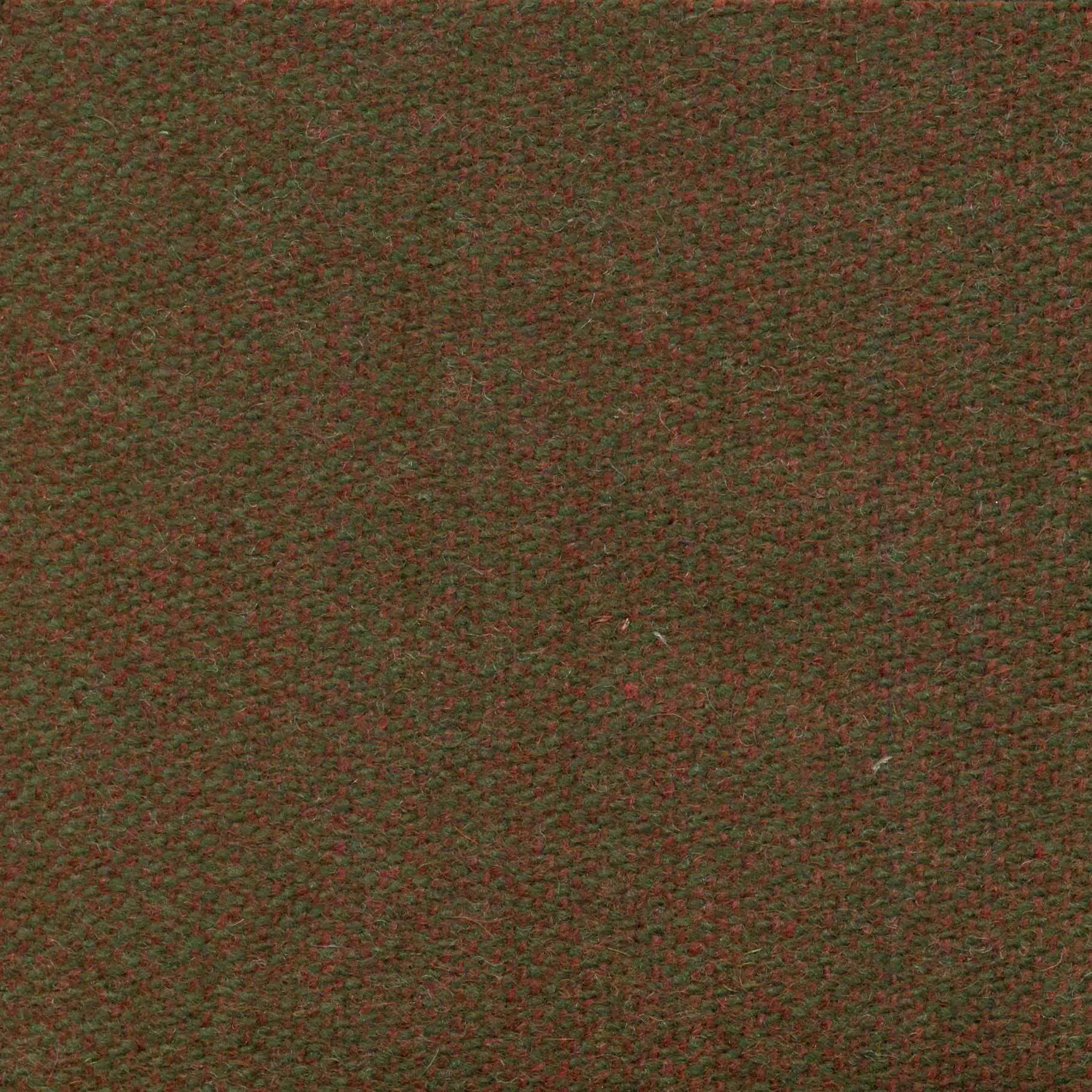 Scarlet 487 | Savoy FR