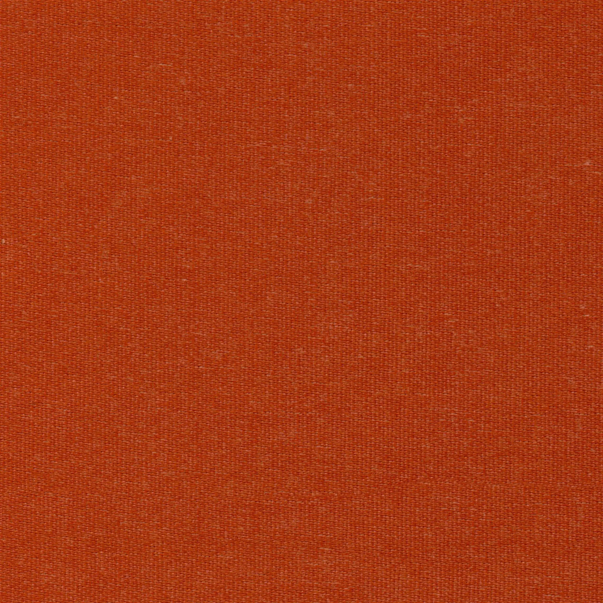 Tangerine 38 | Melba
