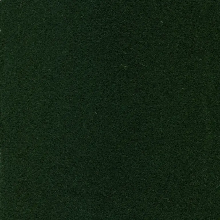 Palm 077