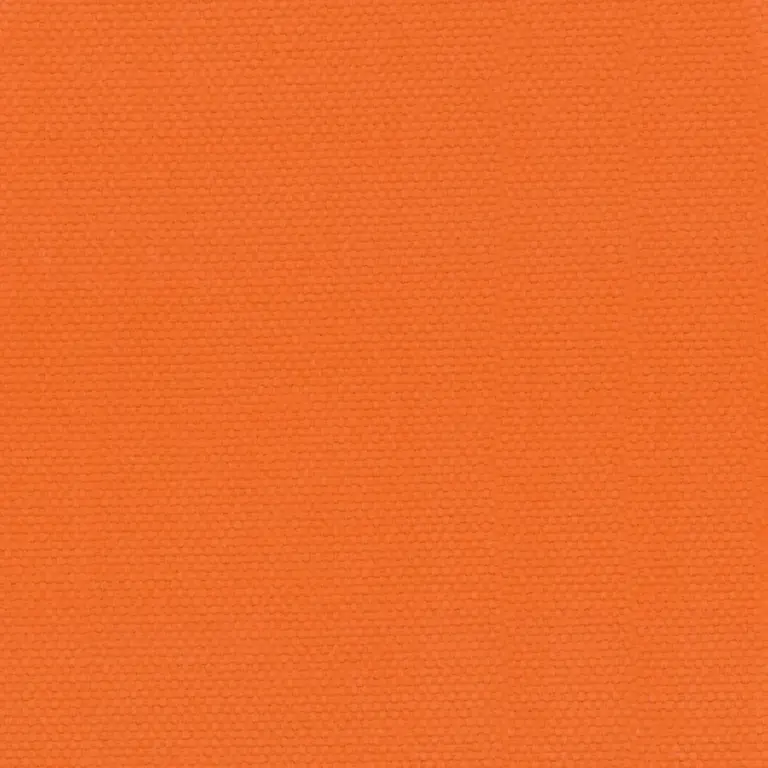 Apricot 10