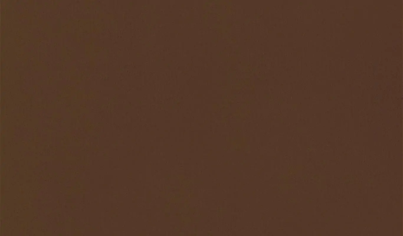 Ginger 00 | Renard