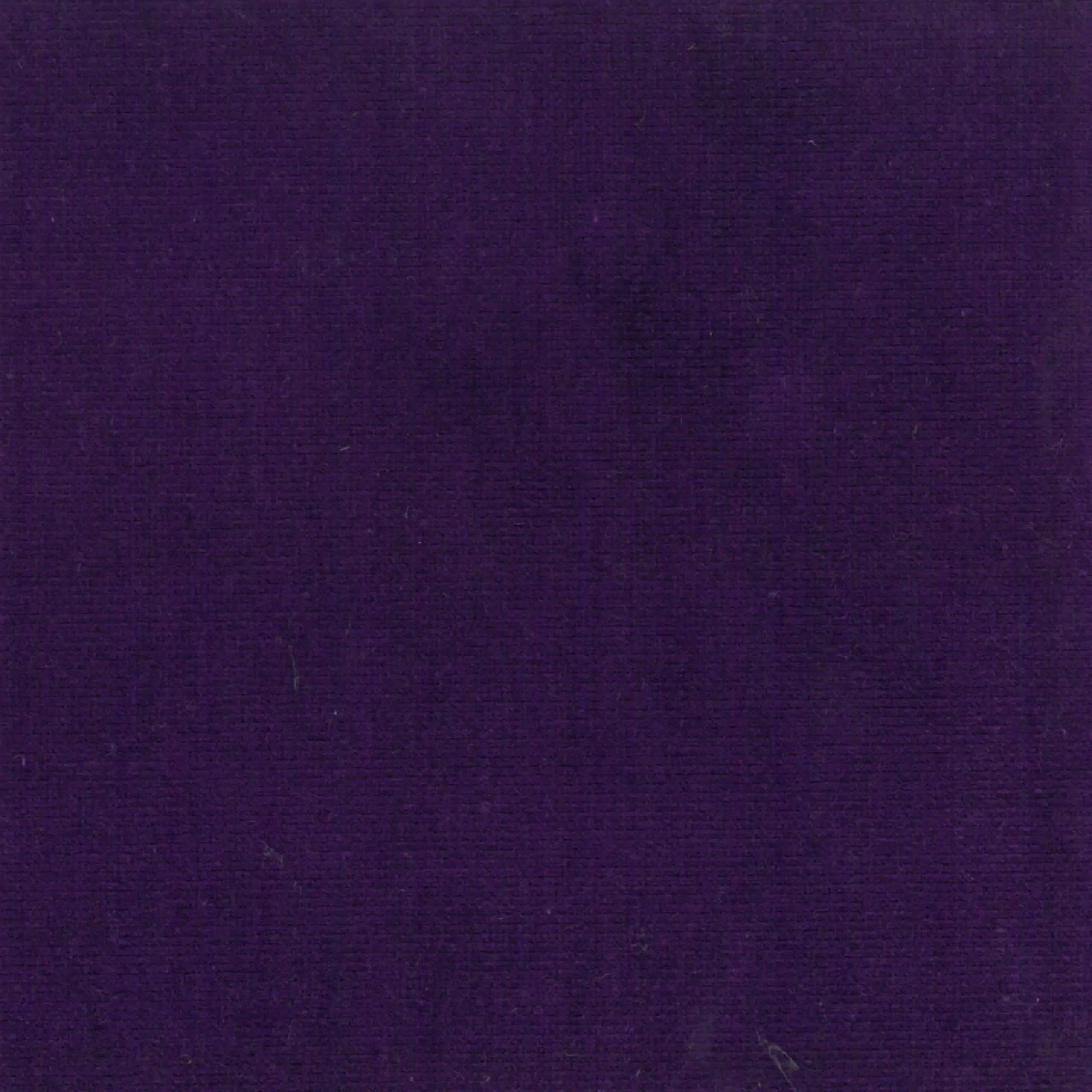 Purple 62 | Renard