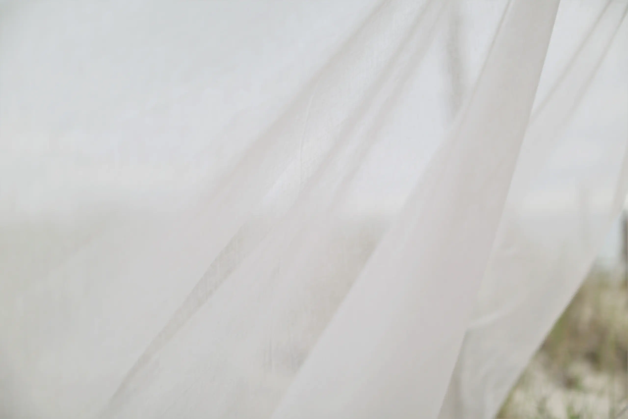 White 503 | Puro