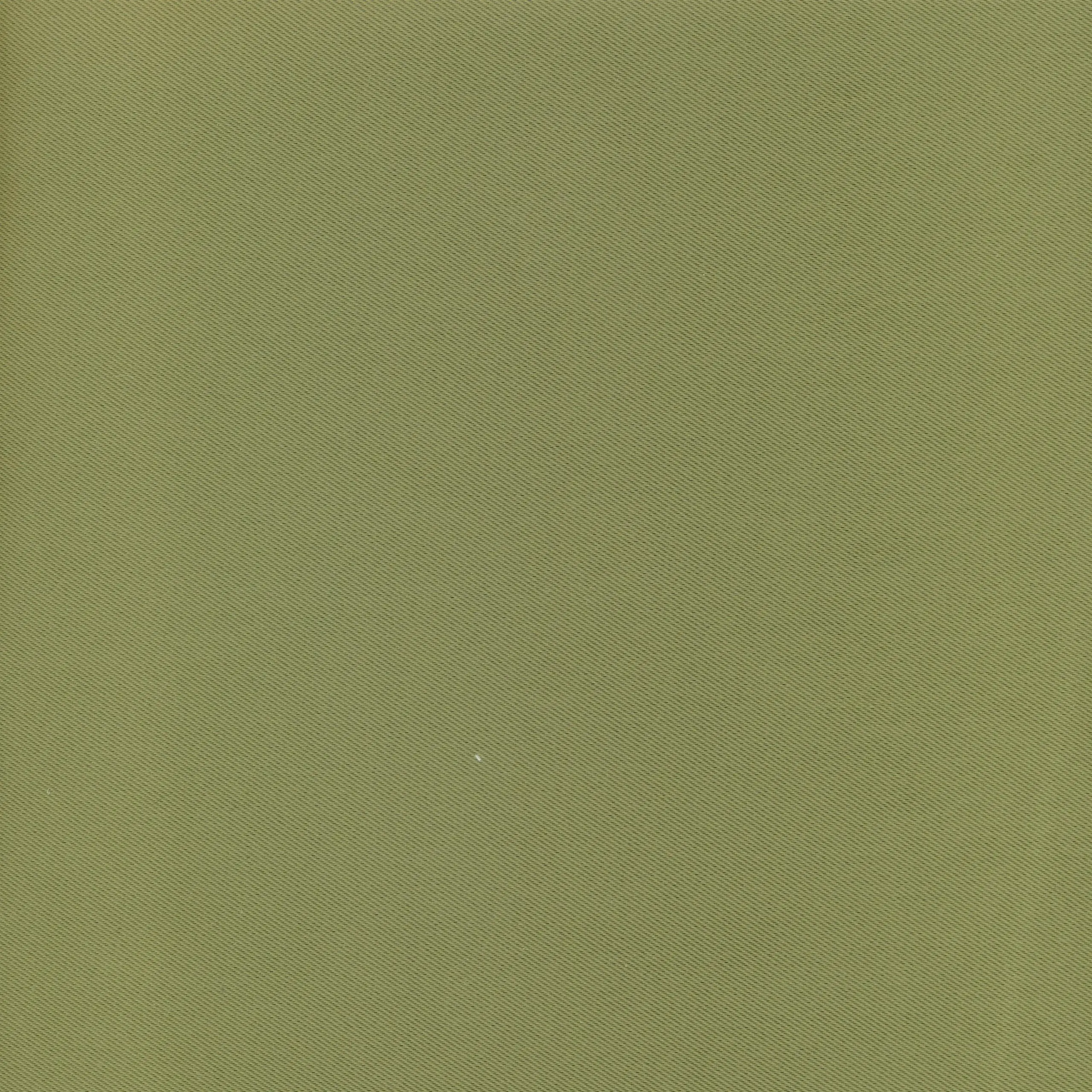 Sage 24 | Luna