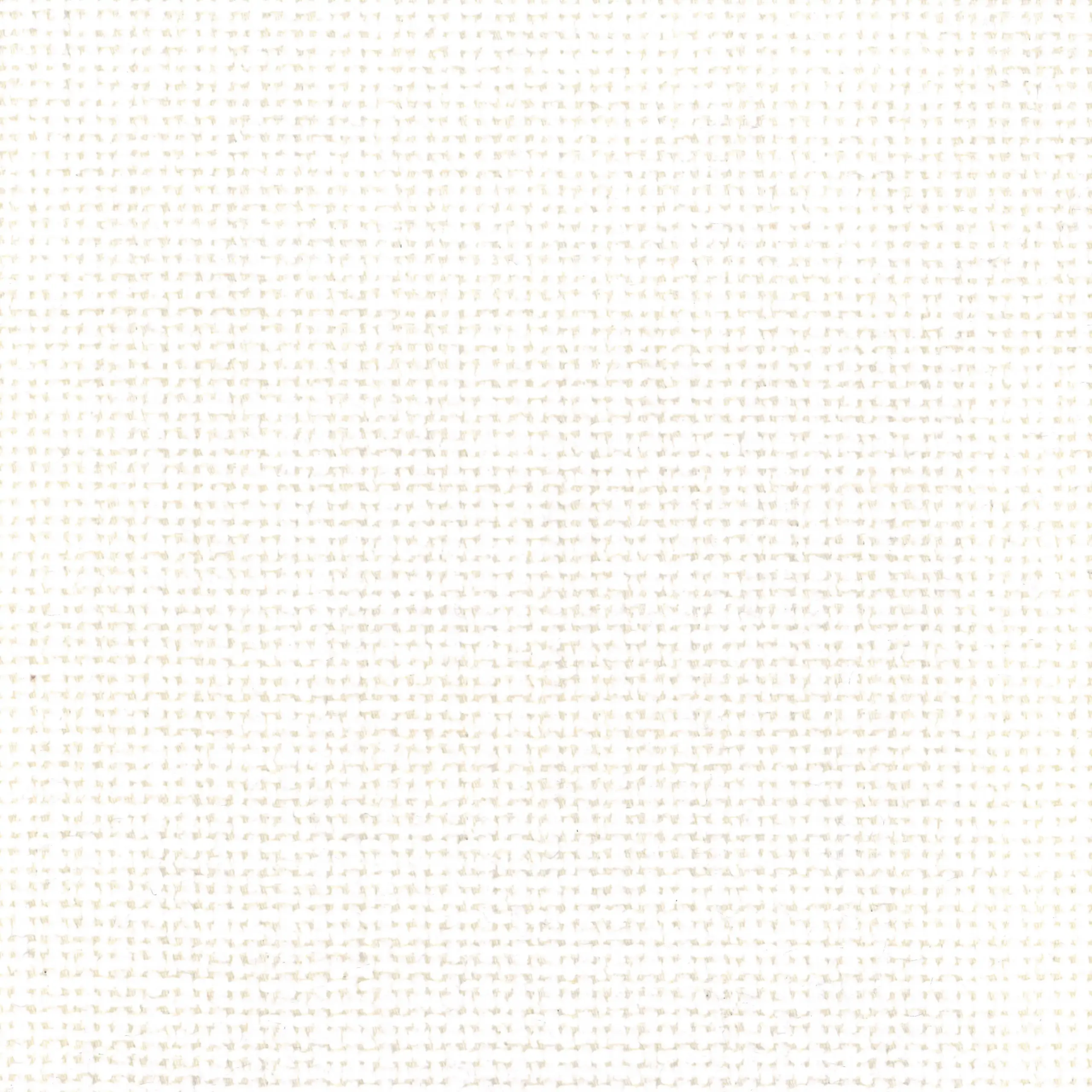 Champagne 838 | Noor